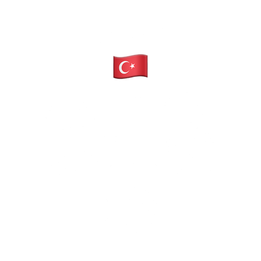 Türkçe kursu (Teori - A-A1)
