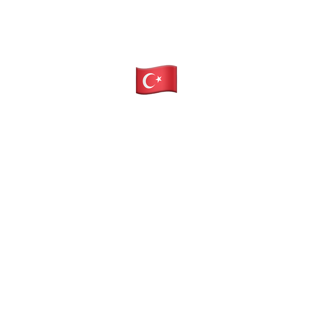 Türkçe kursu (Teori - AM)