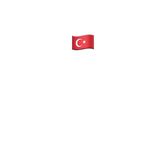 Türkçe kursu (Teori - AM)