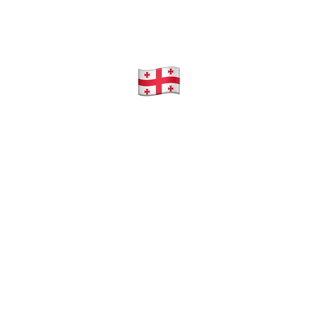 ქართული კურსი (თეორია - B-B1)