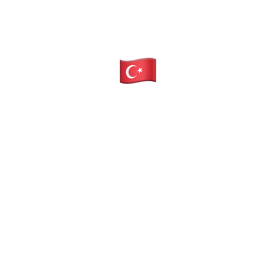 Türkçe kursu (Teori - B-B1)