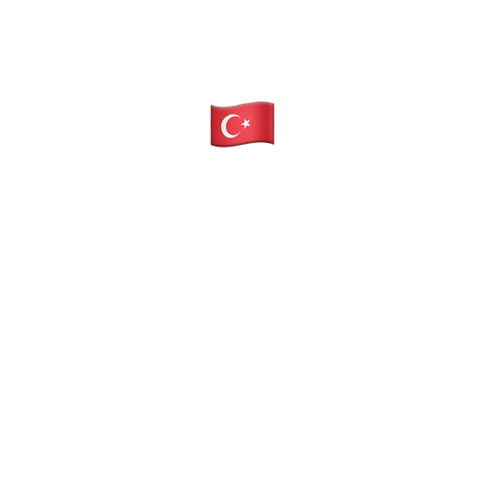 Türkçe kursu (Teori - B-B1)
